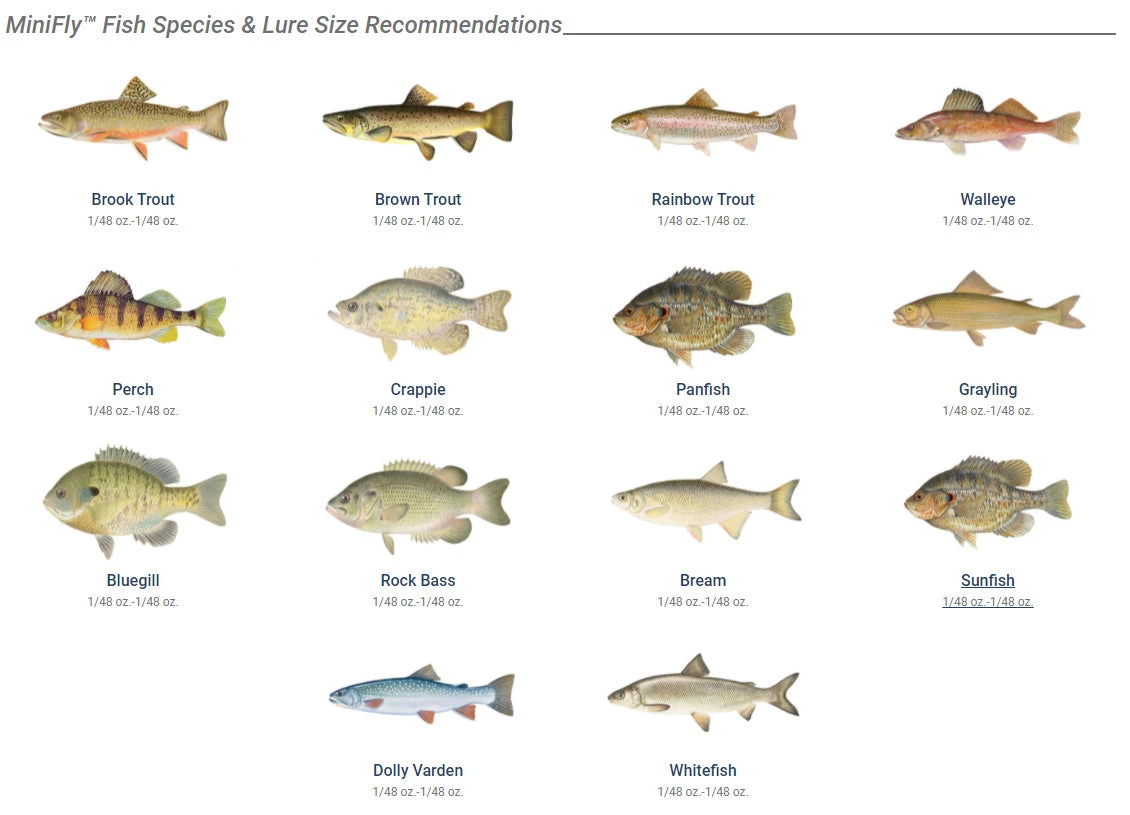 Panther Martin MiniFly 3-Pack Spinner Kit - Image 2