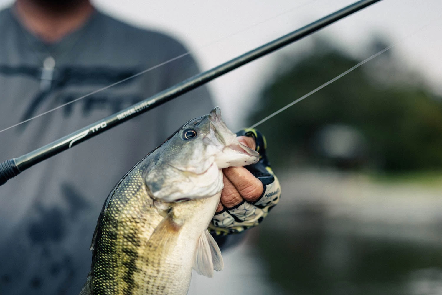 Temple Fork Outfitters Tactical Elite Bass Spinning Rods - Image 4